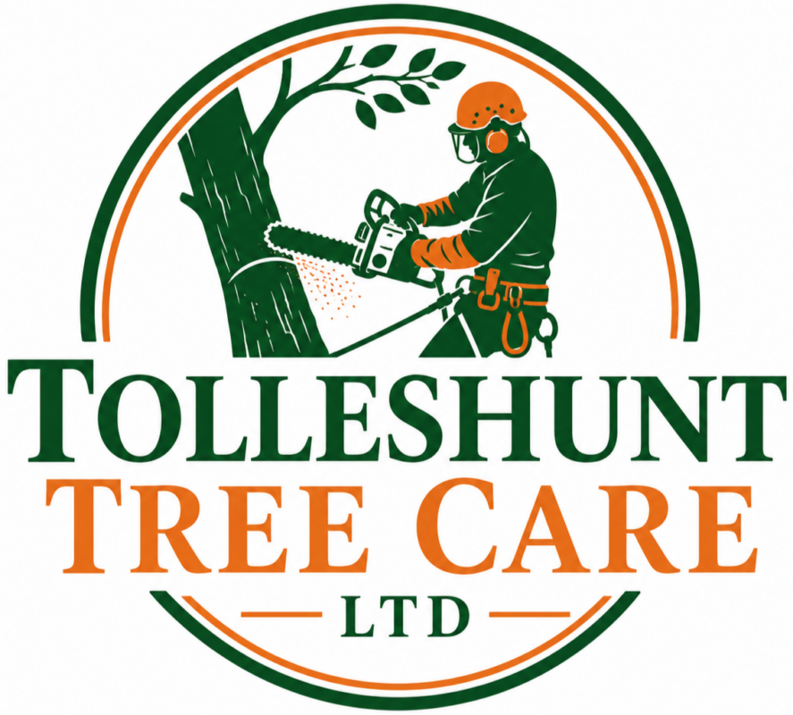 Tolleshunt Tree Care Ltd